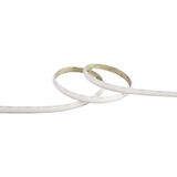LED DOB STRIPE 5m 4000K 12W/m IP54