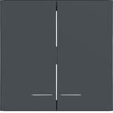 Rocker arm 2-fold, clear lens, A.x/C.x, anthracite