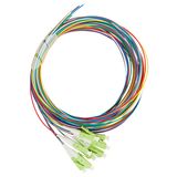 FO Pigtail LC, 50/125æm OM5, 2.0m, Easy Strip, 8pcs