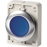 M30I-FDL-B Illuminated pushbutton actuator, RMQ-Titan, flat, momentary, Blue, blank, Front ring stainless steel