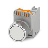 PHT22-FL-WH/PT10 - Button