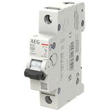 Circuit breaker 1P B Kar. 32A, 10kA