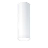 P-INF SC R100 1800-930 LDO WH WH - LED surface-mount ceiling luminaire
