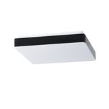 TILIA C2 LED-1L33C10NU3/PC33C HF 3000