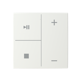 ESP RF GDT-3 module