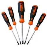Skandia screwdriver set 2C Torx 5 Dlg