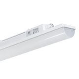 INNOVA 1.5ft PC 3250/840 2x5P DALI Luminaire LED 1x3250 lm 22W IP66