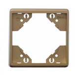 SINGLE FRAME CHAMPAGNE