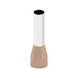 AI 25-22 BN - Ferrule