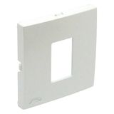 COVER PLATE F/TELEPHONE SOCKET ICE