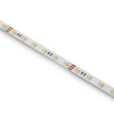 STRIP 24V DC EW-DL 5m ROLL 20W/m IP20
