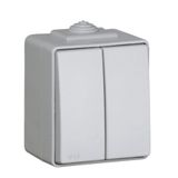 TWO CIRCUITS SWITCH GREY