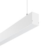 LESS IS MORE 50, 52 W, 6450 lm, 840, white, DALI Pendant luminaires, L