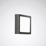 Wall and ceiling luminaire Skeo Square Multilumencolor 4 Diffuser Anthracite ET 12W 1000lm Lambertian (L) IP65 IK10 4 SDCM
