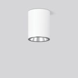 ANDHO mini, 13 W, 1550 lm, 830, white, on/off Surface mounted downligh