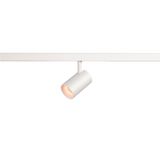 NUMINOS® XS 48V TRACK DALI, spot, white / white, 8.7W, 650lm, 2700K, CRI90, 40°