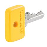 Yellow key, code 73033
