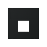 N2216.1 NT - Cover for 2Mod Data Socket.