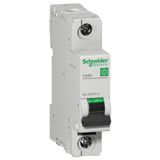 MULTI9 C60N 1P 10A B 10KA