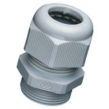 Pg-21 RAL 7035 UL/VDE cable gland