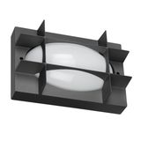 BLIZ OVAL 21 S/EW 830 ANTHRACITE