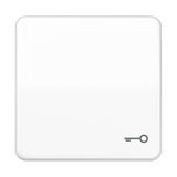 1-gang rocker,breakpr. with symbol "door CD590BFTWW