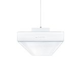 ECOOS2 SLIM 5500-940 MSP L15 MPO LDE - Pendant luminaire