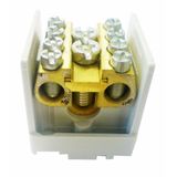 Main branch terminal 35mmý,,1-pole, 1 with 4 outputs 35mmý, (The price is shown without markup on metals. Request a quote for accurate information)