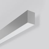 LESS IS MORE 50, 16 W, 1950 lm, 830, silver, DALI Wall luminaires, L 8