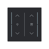 LFDW/A.2.70.1-45M Cover plate with legend with Symbol "arrows/venetian blind" and "dimmer" black matt - Trevion®