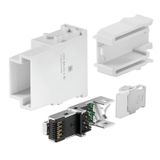 RJ45 module, 50 V, 1 A, Number of poles: 8, IDC terminal, Male, Required plug-in slots: 1