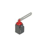 Safety switch with slotted hole lever
