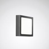 Wall and ceiling luminaire Skeo Square Multilumencolor 4 Diffuser Anthracite ET 13W 1000lm 85 Lambertian (L) IP65 IK10 4 SDCM