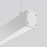 LINEDO single IP54, 40 W, 6450 lm, 840, aluminium, DALI Pendant lumina