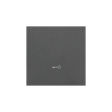 Single button with pictogram for switches and push buttons, graphite mat