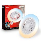 CCT ceiling light with fan, white