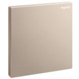 Galion - 1 gang blanking plate - Rose Gold