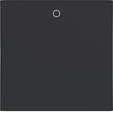 Single rocker, imprint "0", A.x/C.x, matte night black