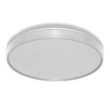 CEILING LUXO SEN 24W 840 IP20 SI OSRAM