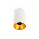 Ceiling luminaire TENSA, GU10, Ø96x140 mm, IP20, white