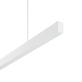 Less is more 27, 37 W, 3000 lm, 830, white, DALI Pendant luminaires, L