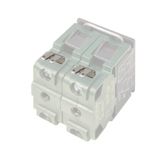 Faston terminals