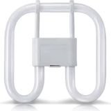 CFL Bulb GR8 220-240V 16w 3500k Bellight