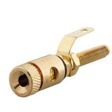 Speaker socket, high-end, black, for mounting adapter LS-MA Up