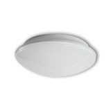 Surface/recess mnt. luminaire AL250 IP54 1x40W E27 AC O