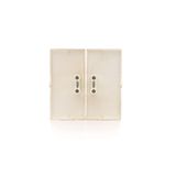 Double button for switches and push buttons, matt aluminum