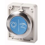 M30C-FD-B-X217 Pushbutton, RMQ-Titan, Flat, momentary, Blue, inscribed, Metal bezel