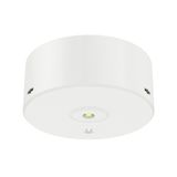 Emergency LED 3H 5W 6000K 220Lm IP20 (Non-maintained + Maintained + ACEG operation type) (Surfaced)