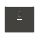 Cover card switch w/ lens