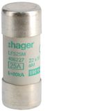 FUSE 22X58,25A AM,690VAC LF525M
